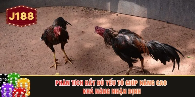 Phân tích đầy đủ yếu tố giúp nâng cao khả năng nhận định